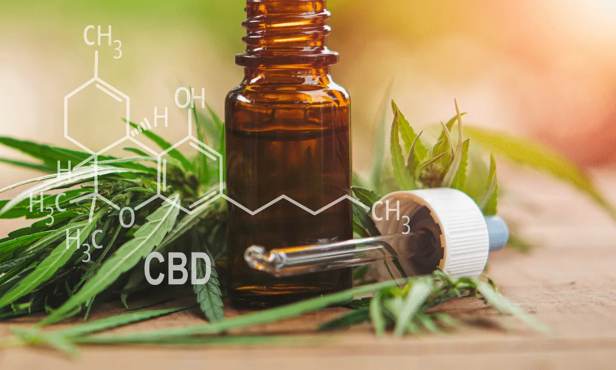 Conoce el CBD sus beneficios y más