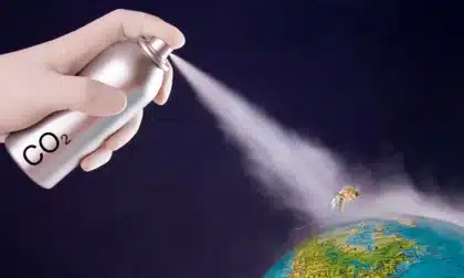 El cambio climático impulsa aumento de enfermedades infecciosas. Te explicamos por qué y qué riesgos enfrentan los países vulnerables.