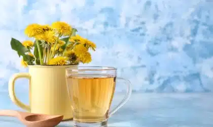 El diente de león: cómo atraer prosperidad y equilibrio con esta flor de energía positiva