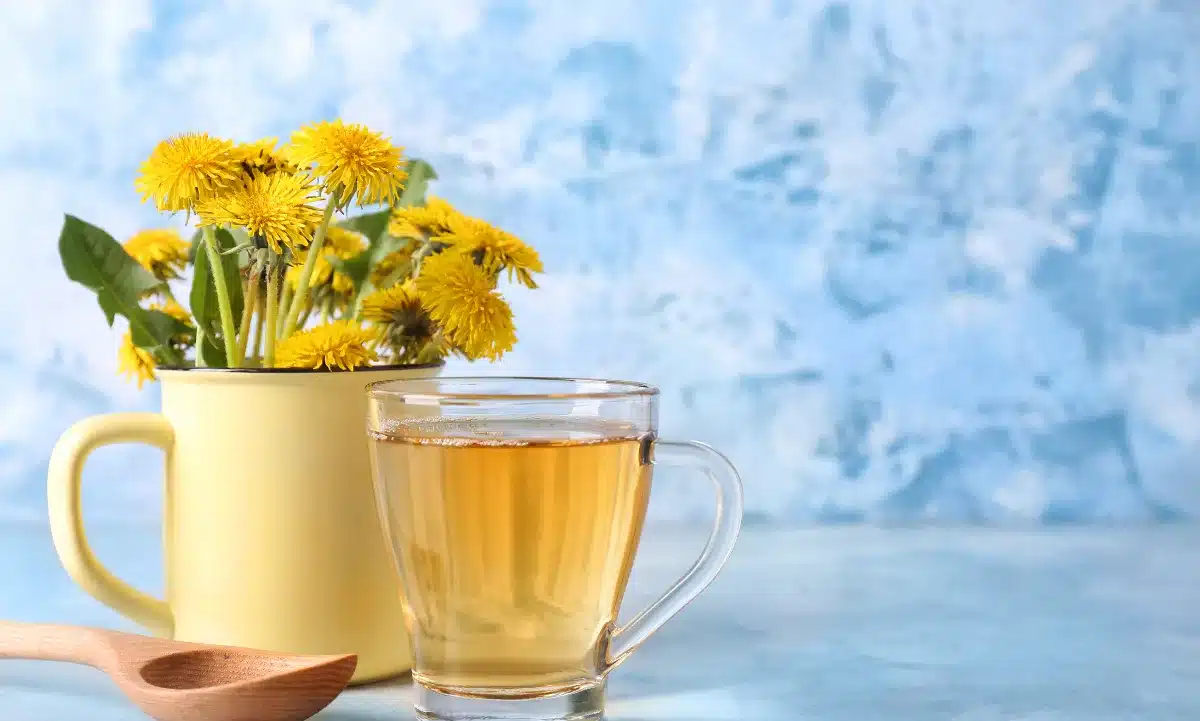 El diente de león: cómo atraer prosperidad y equilibrio con esta flor de energía positiva