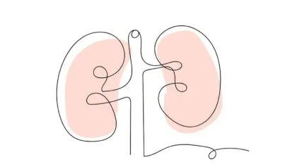 enfermedad renal hipertensiva