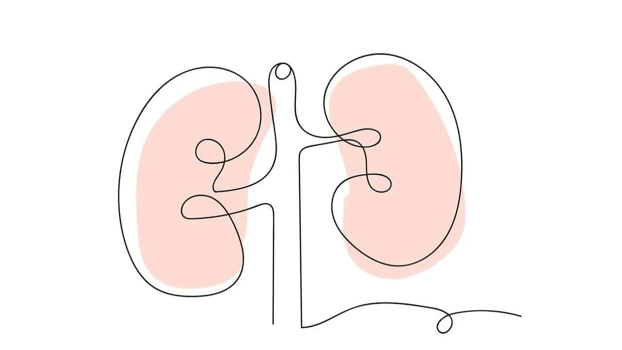 enfermedad renal hipertensiva