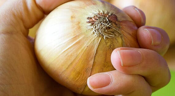 cebolla y uñas