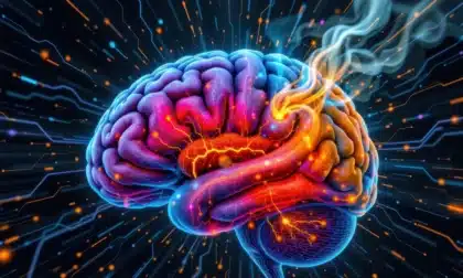 La neuroinflamación afecta la memoria, el ánimo y el envejecimiento cerebral.