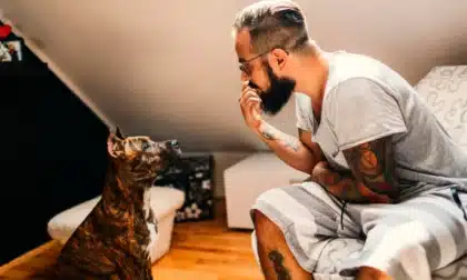 por que hablamos con nuestras mascotas