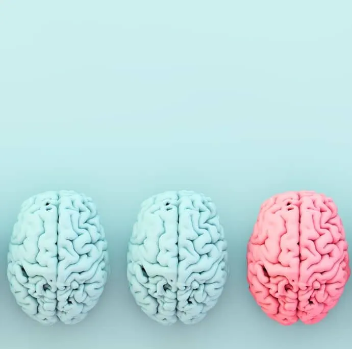 Como evoluciona tu cerebro