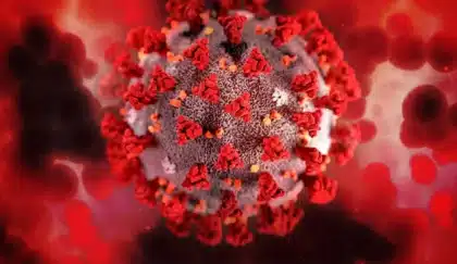 Mvpox virus y sus linajes