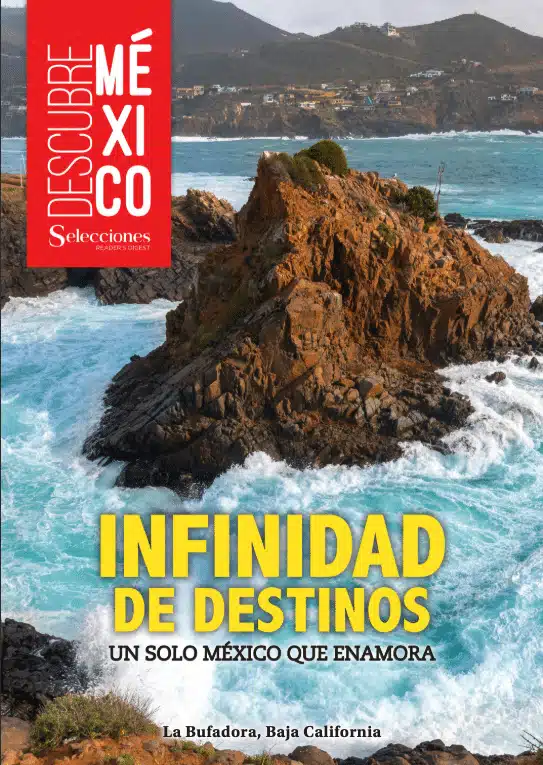 Revista 3