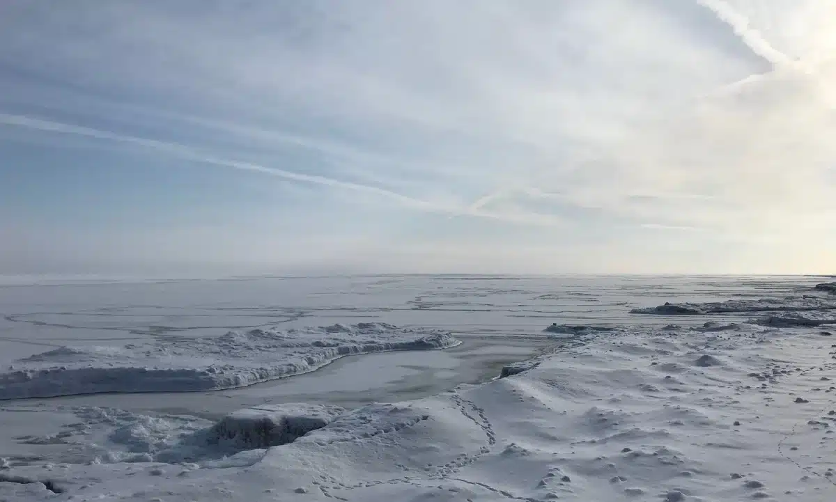Cuando el vórtice polar se debilita, el frío ártico puede llegar hasta México.
