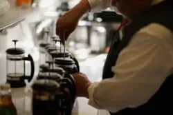 El café maya que volvió a casa: capomo, la semilla ancestral que hoy reconquista las tazas