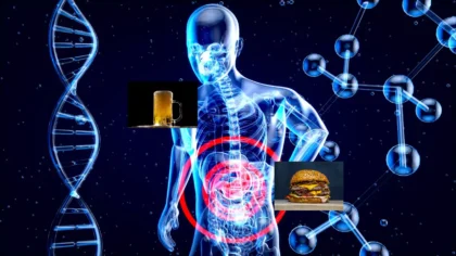 Adoptar hábitos saludables permite proteger el hígado y mantener su función en óptimas condiciones a lo largo del tiempo.