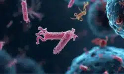 Sin ellos, no hay vida: Los 5 microbios que la ciencia urge proteger en 2026