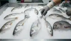 Compras mariscos errores