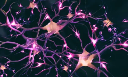 Información científica sobre el descubrimiento de un circuito cerebral relacionado con el letargo y su aplicación en viajes a Alfa centuri