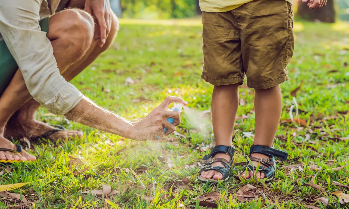 Protege tus zapatos con permetrina contra mosquitos y garrapatas