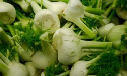 Beneficios del hinojo para eliminar toxinas y cuidar tu salud