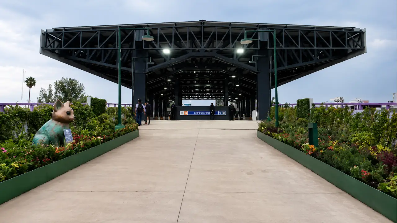Conexión de Chabacano al Jardín Flotante de Tlalpan | Descubre México