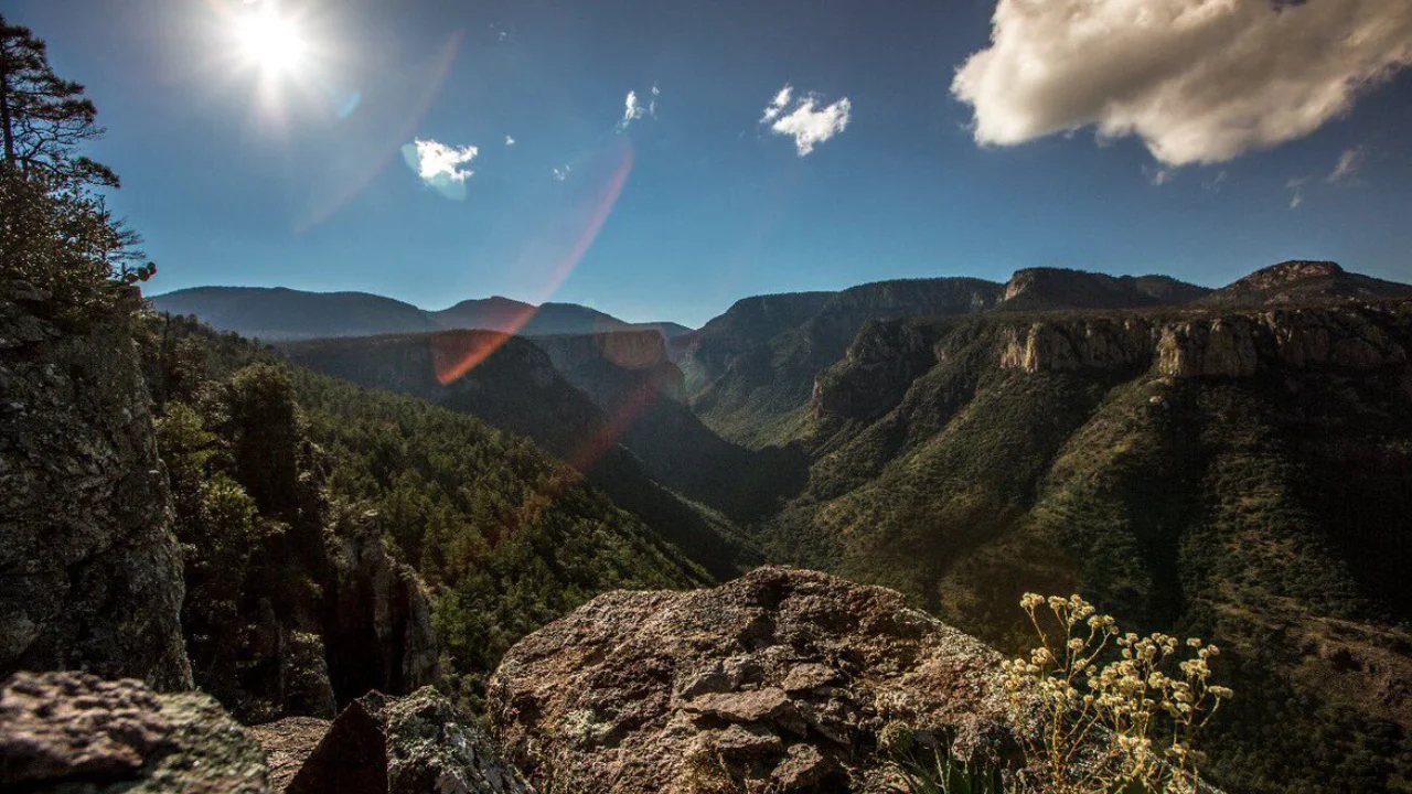 ¿Qué se necesita para que un área sea protegida en México? | Descubre México